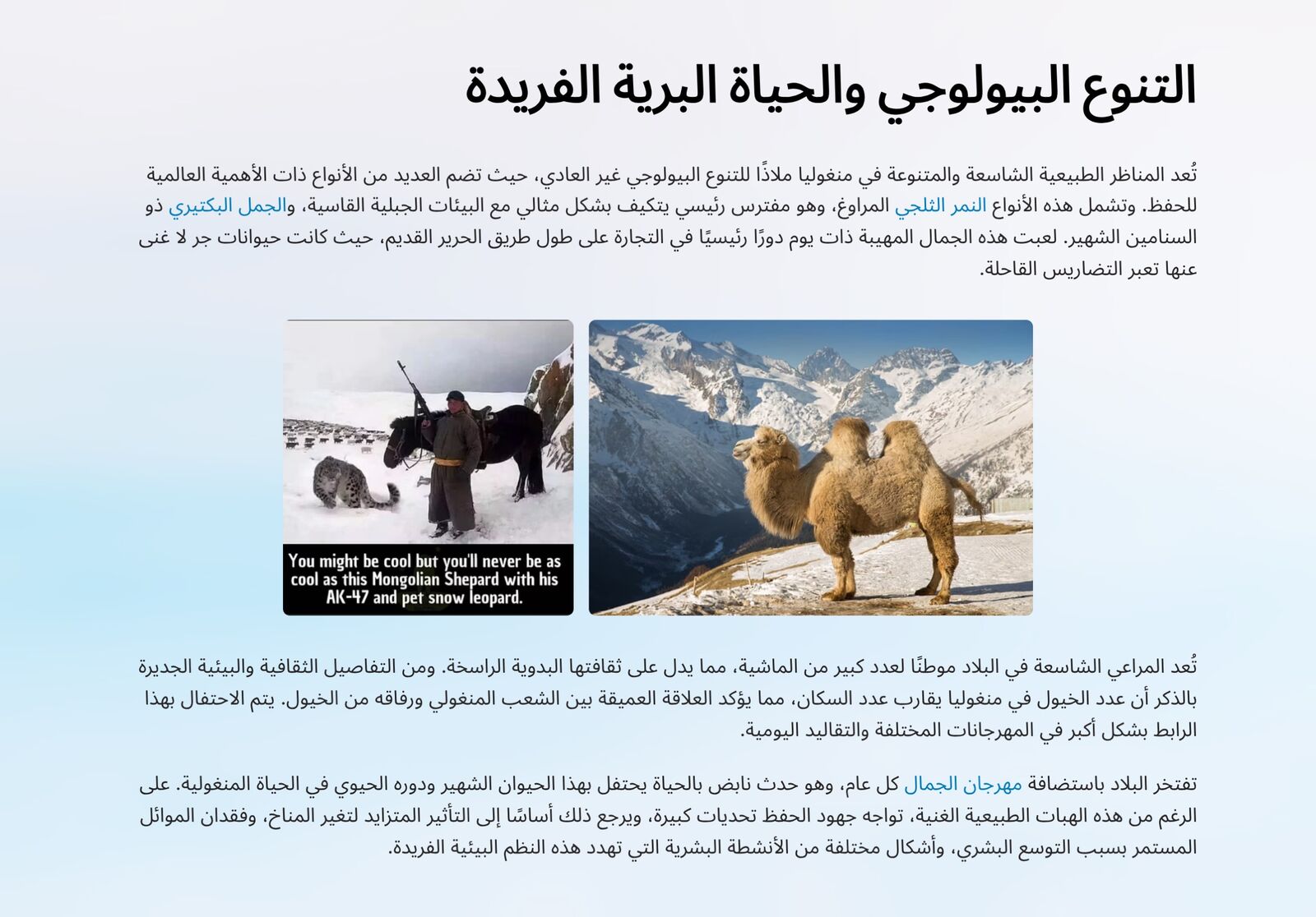 منغوليا 7