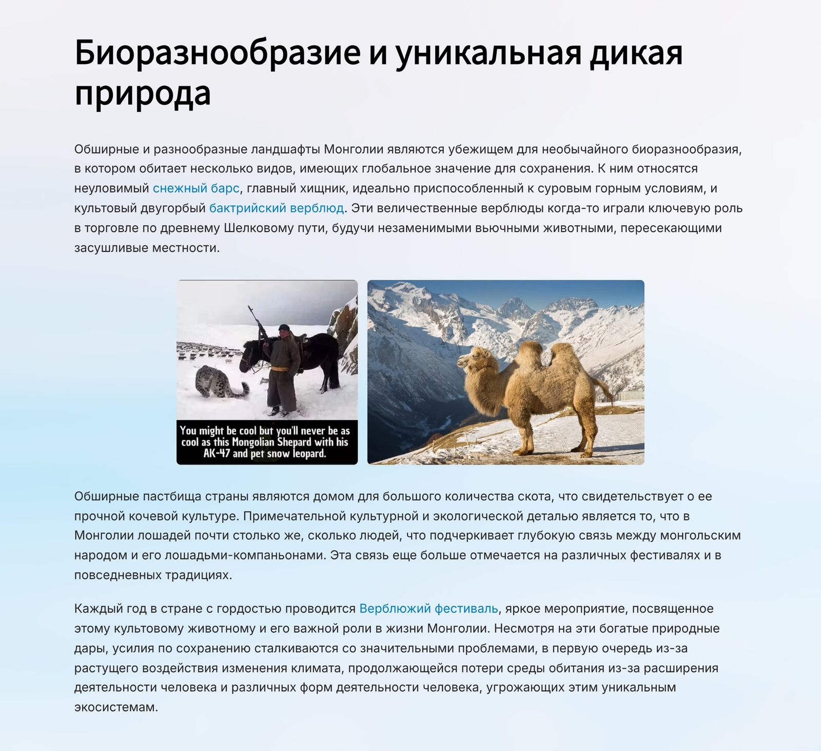 Монголия 6