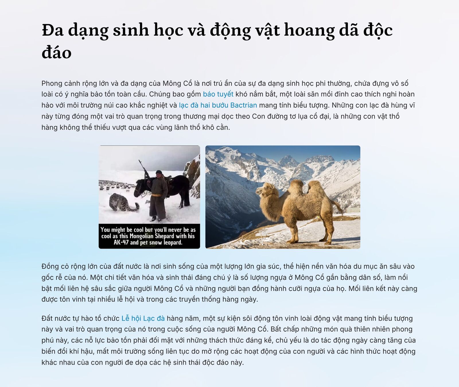 Mông Cổ 7